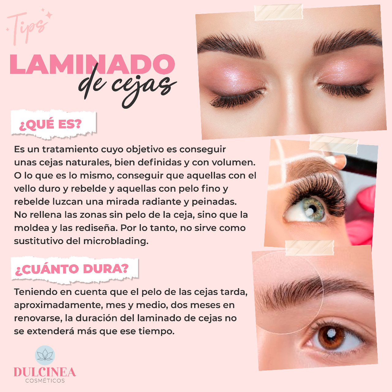 Laminado de cejas