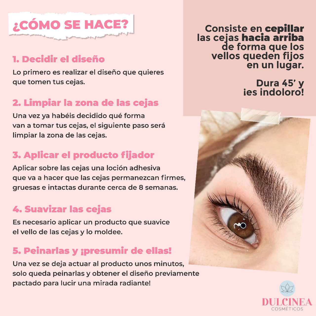 laminado de cejas