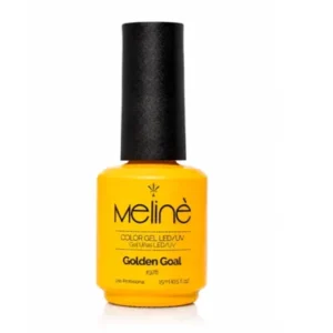 Golden Goal Meline 1978